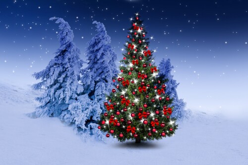 Kış, Kar, Süslemeler, KarTaneleri, Toplar, Ağaçlar, YeniYıl, MutluNoeller, Dekorasyon, NoelAğacı